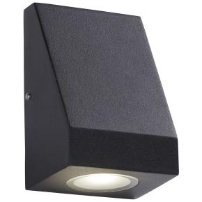 Troy LED Outdoor Wall Light - Black & Glass, IP44